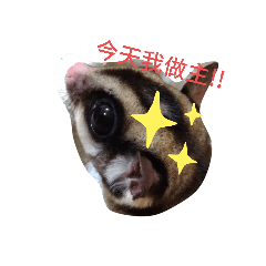 蜜蜜肉