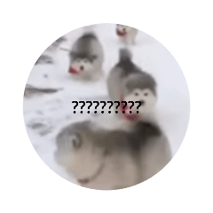 omochi_20210228140001