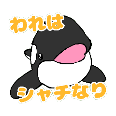 matsu_20210228152113