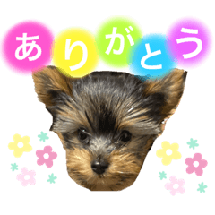 nanami_20210228152213