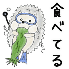 sea hedgehog diver (Japanese)