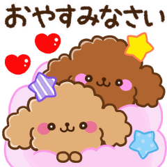 FuwaMoko Toy poodle