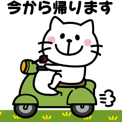 Move! Adult cute cat sticker (contact)