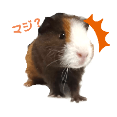 imorishi_20210228142837