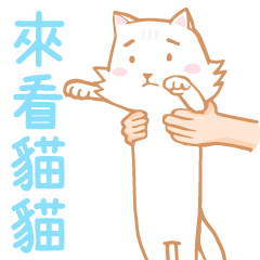 MEME CAT -animated sticker2