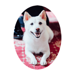 saori_20210228193600