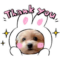 nanami_20210228212513