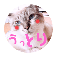 rina_20210228225657