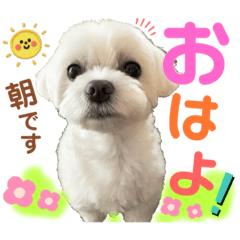 omochi_20210301051738