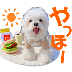 omochi_20210301051909