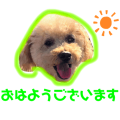 JOY version2