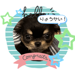 AiLove_20210301091320