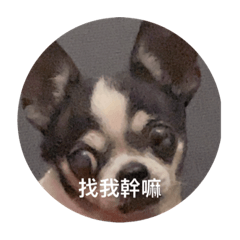 我的露露好可愛