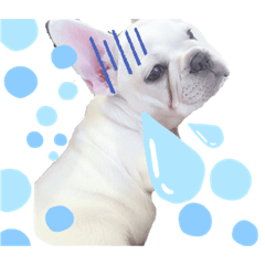 ASUKA_20210228201020