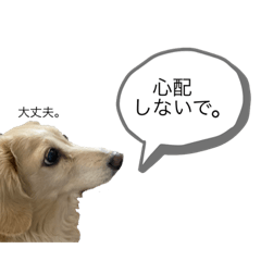SAYA_20210228200202