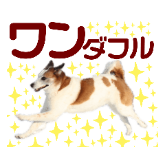 shizu_20210228215019