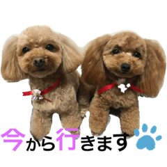 モンロー、イヴ