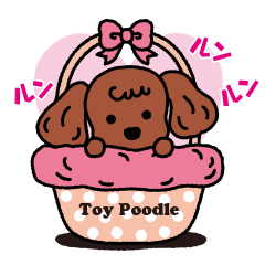 I Love Toy poodle.