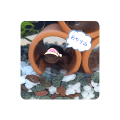 asuka_20210301100309