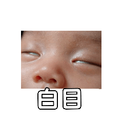 kaho_20210301111635