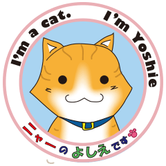 I'm a cat. I'm Yoshie.