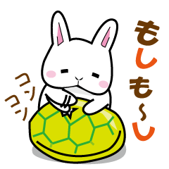 Rabbits and turtles used by cute adults