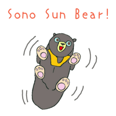 Funny Mr. Sun Bear!