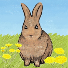 The brown rabbit (dandelion) "OK"