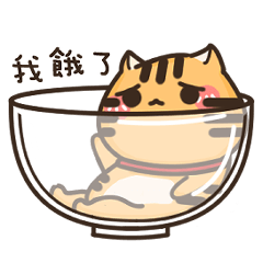 Happy Fat Cat - Mai Mai's Life