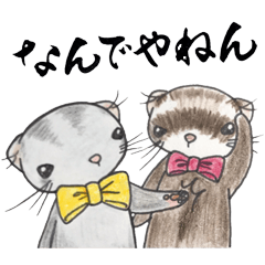 Kansai dialect ferret daily edition 2!