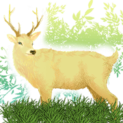 Golden Deer