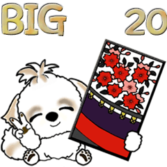 (Big)Shih Tzu Dog 20