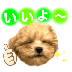 nanami_20210301224040