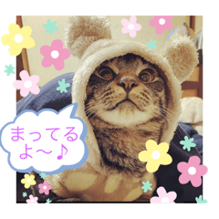 omochi_20210301193911