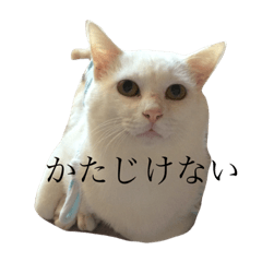 Hannah_20210301214950