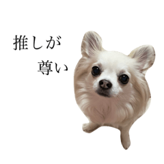 risa_20210302101212