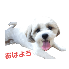 ayano_20210301235817