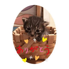 omochi_20210302094748