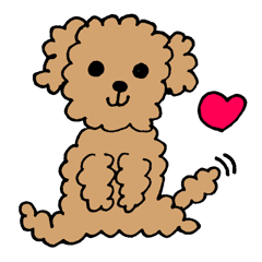 "Mimo" the toy poodle