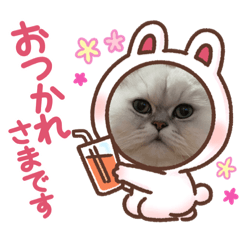 chie_2021