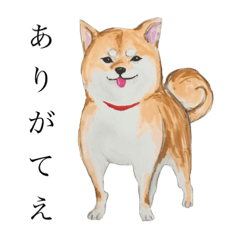 A word of SHIBA