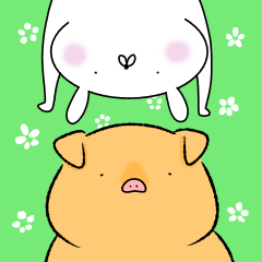 Daily life of rabbit and pig