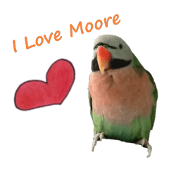 I love Moore