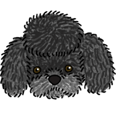 Poodle stamp, Miho-chan's pet dog