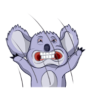 chubby koala