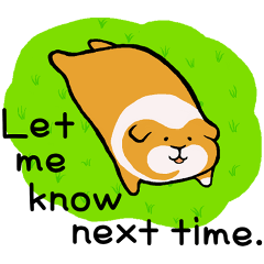 Guinea pig with your daily life. Eng. 2
