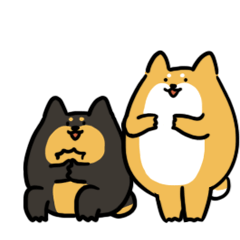 Ani's Animals:Shiba Inu