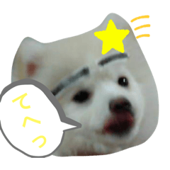 Asuka_20210302194728