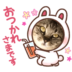 Yuka_20210302195244