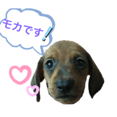 YUKA_20210302213751